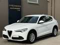 Alfa Romeo Stelvio Stelvio 2017 2.2 t Business rwd 160cv auto my19 Bianco - thumbnail 1