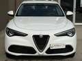 Alfa Romeo Stelvio Stelvio 2017 2.2 t Business rwd 160cv auto my19 Bianco - thumbnail 7