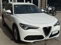 Alfa Romeo Stelvio Stelvio 2017 2.2 t Business rwd 160cv auto my19 Bianco - thumbnail 6