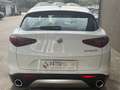 Alfa Romeo Stelvio Stelvio 2017 2.2 t Business rwd 160cv auto my19 Bianco - thumbnail 4