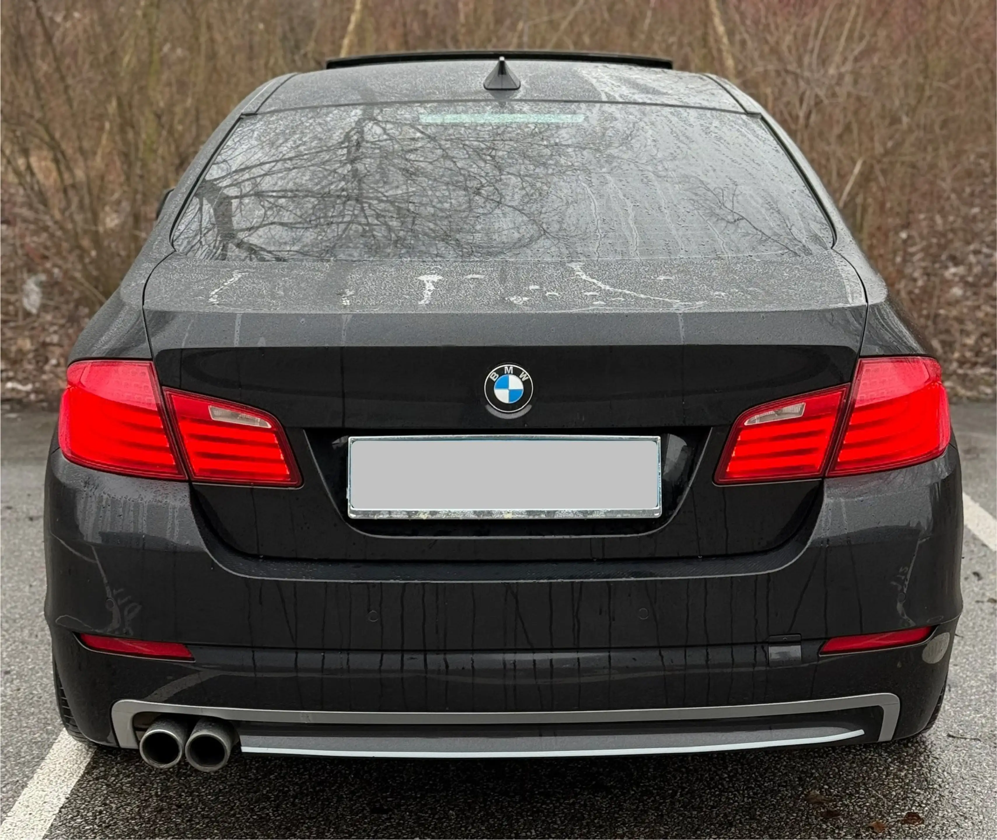 BMW 525 525 d F10 Limousine 6 Zylinder 3 L N57 — photo 9
