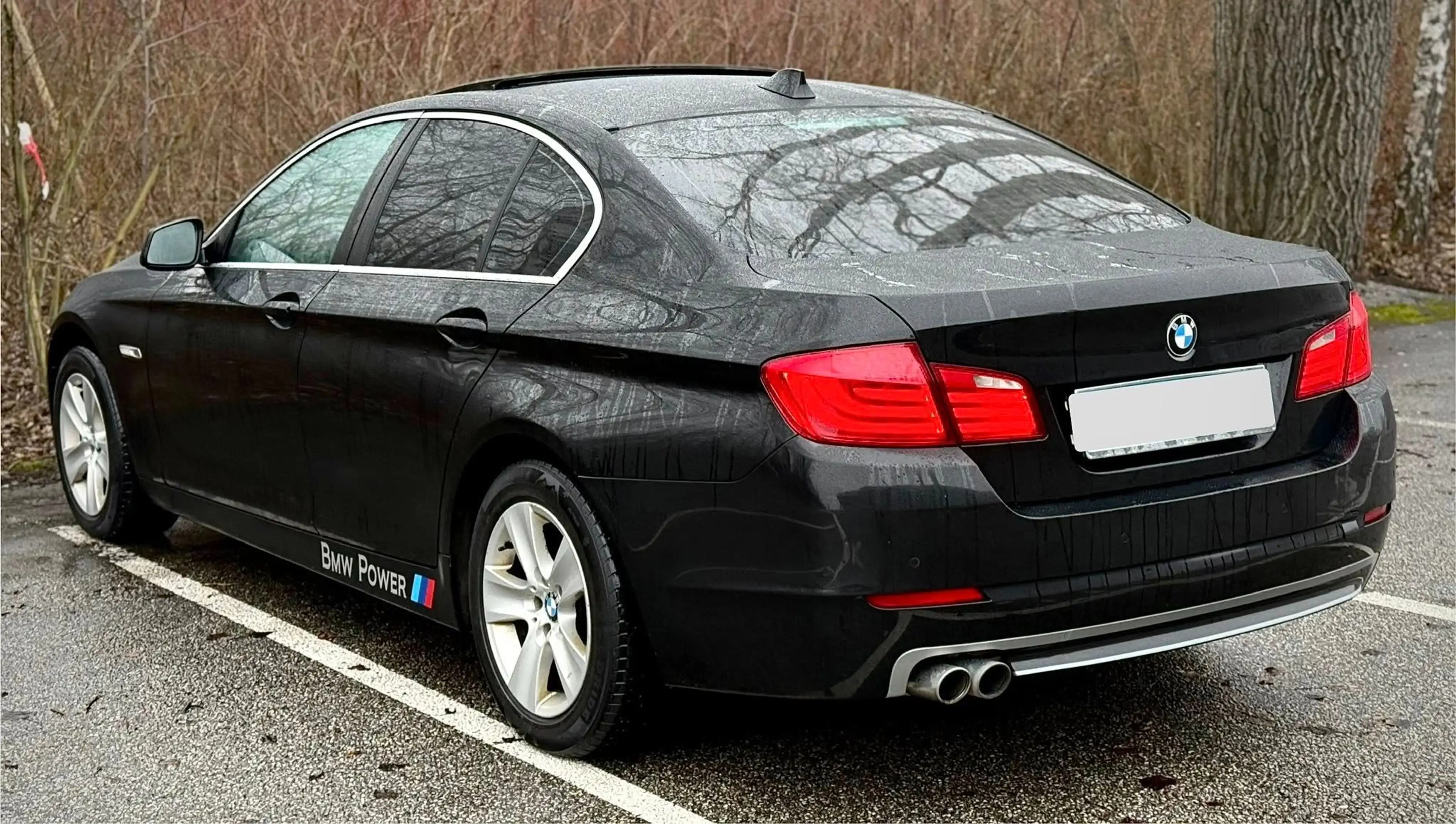 BMW 525 525 d F10 Limousine 6 Zylinder 3 L N57 — photo 8