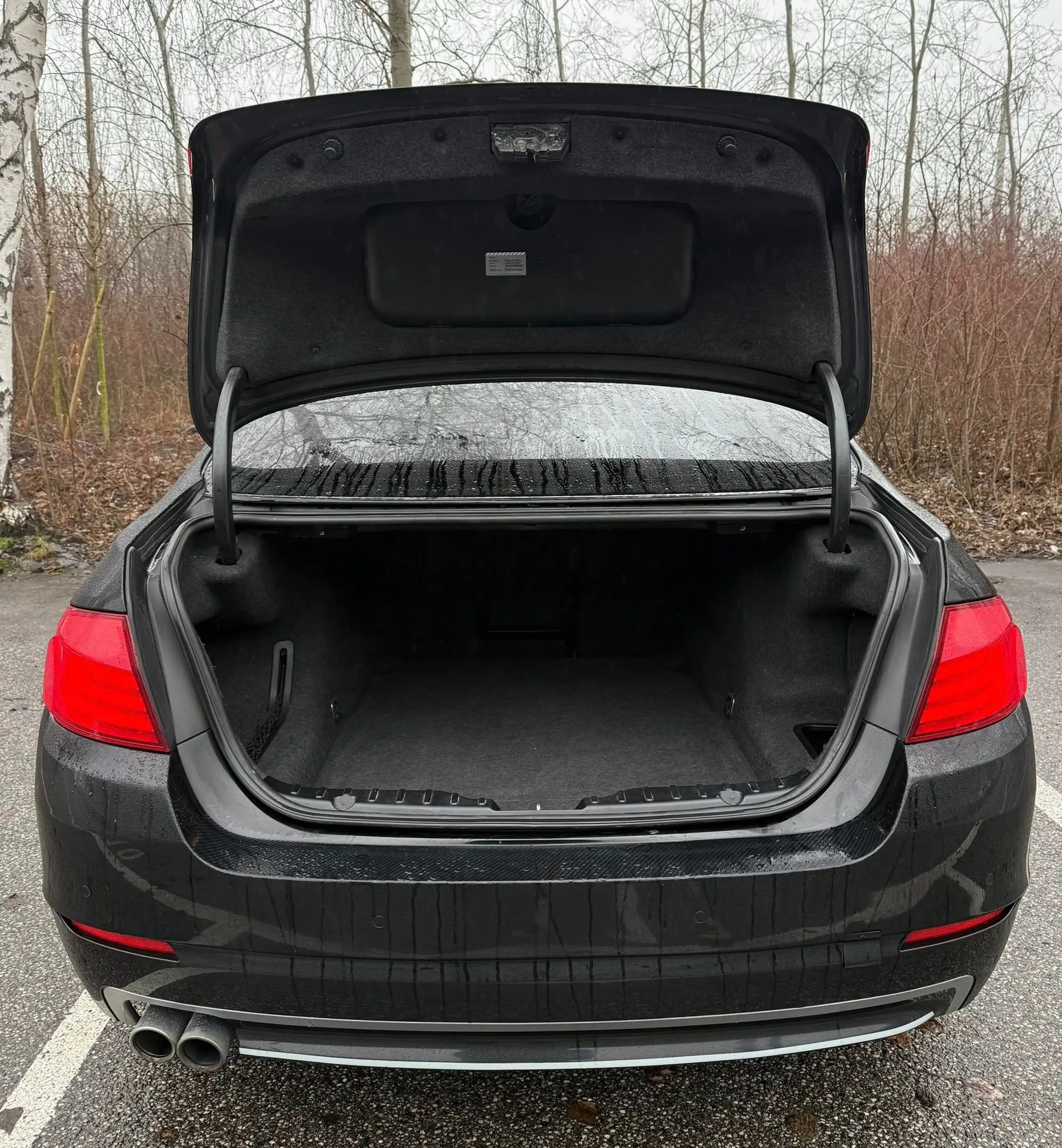 BMW 525 525 d F10 Limousine 6 Zylinder 3 L N57 — photo 10