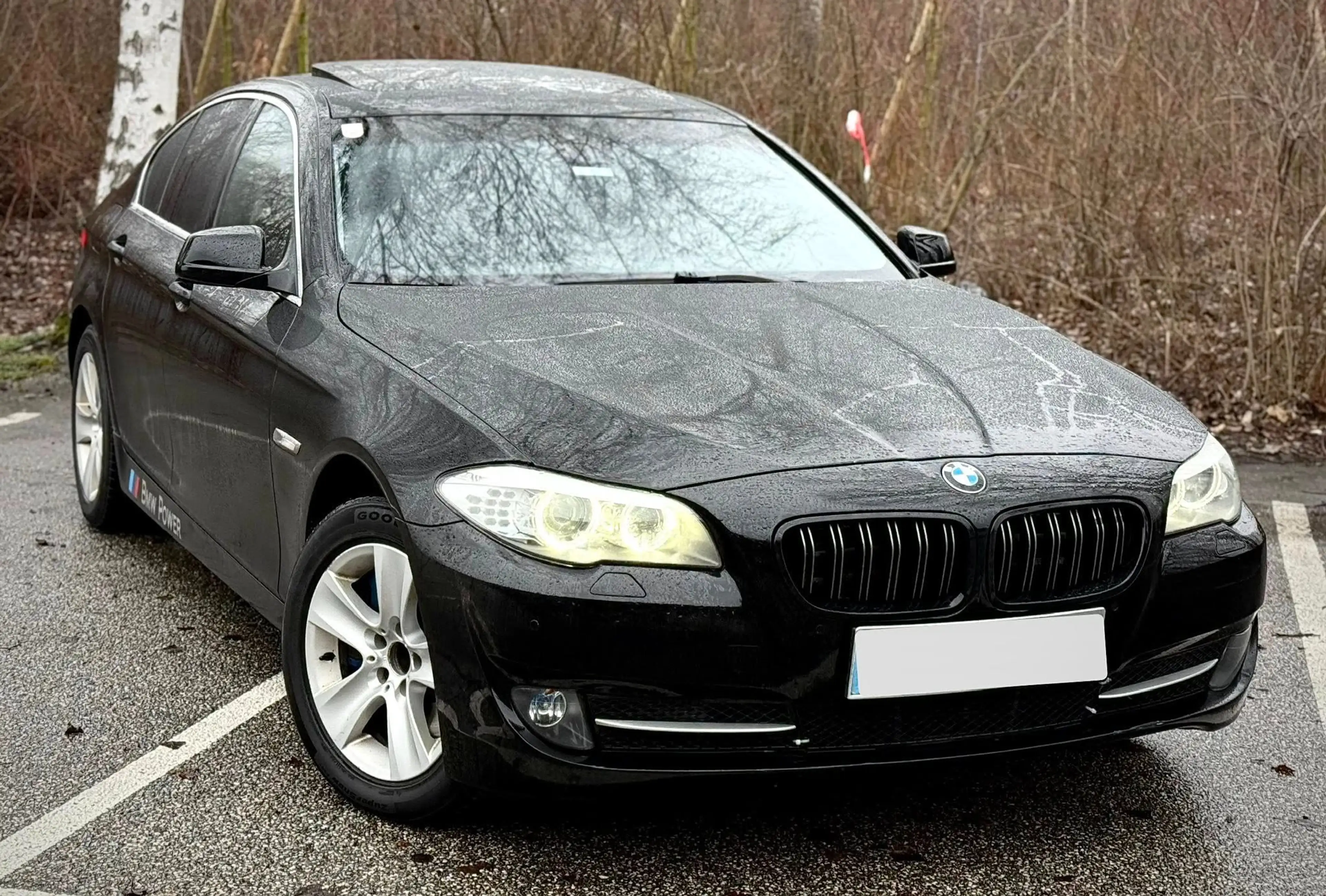 BMW 525 525 d F10 Limousine 6 Zylinder 3 L N57 — photo 3