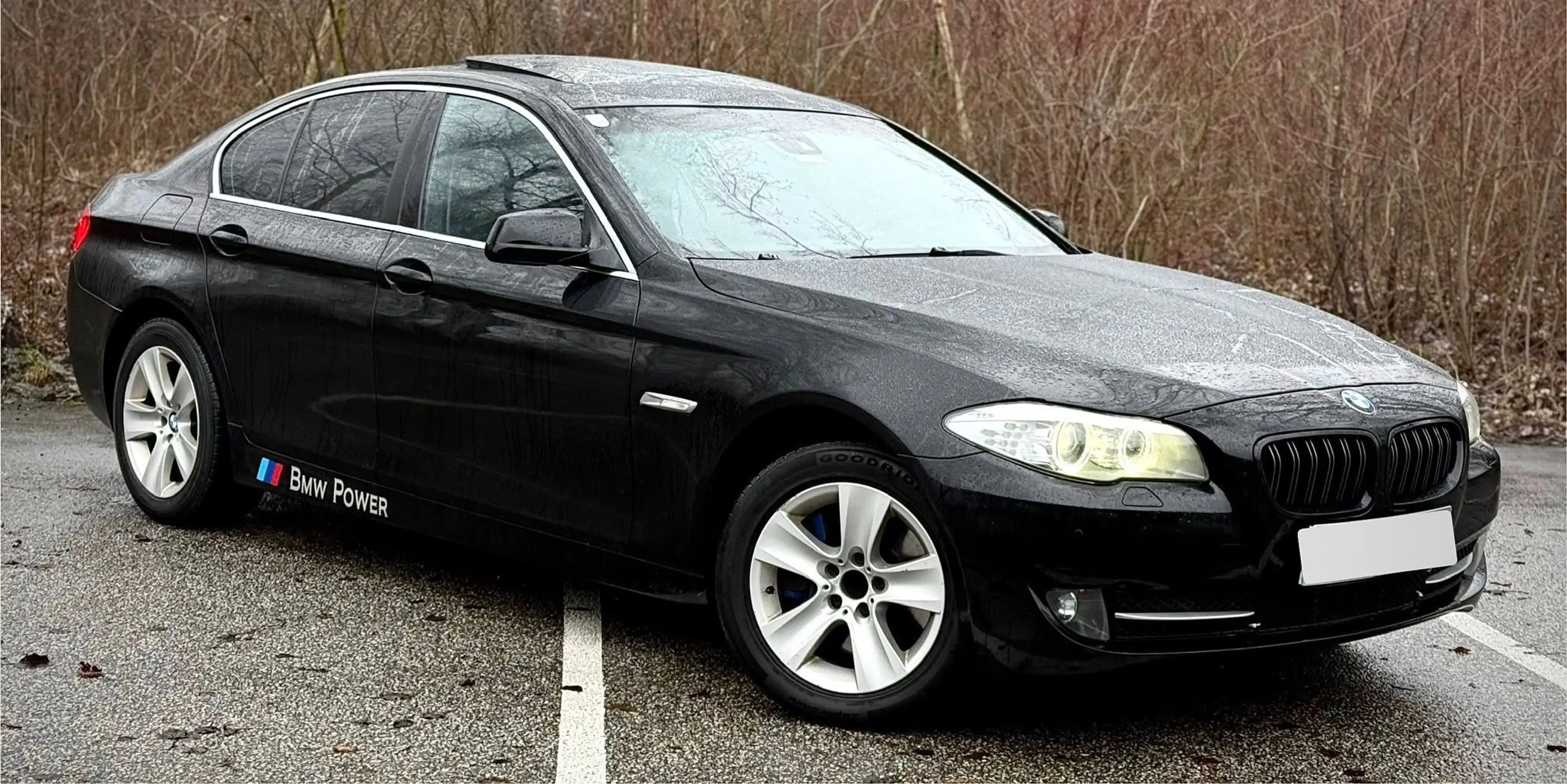 BMW 525 525 d F10 Limousine 6 Zylinder 3 L N57