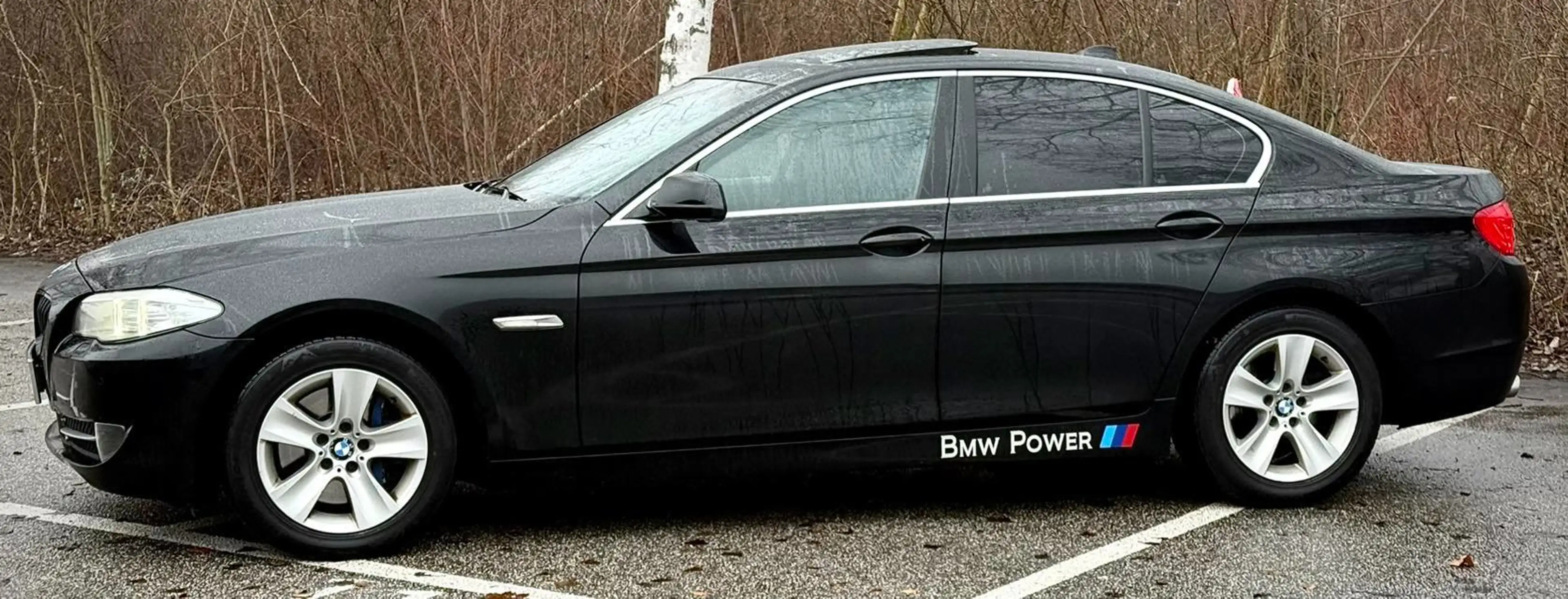 BMW 525 525 d F10 Limousine 6 Zylinder 3 L N57 — photo 6