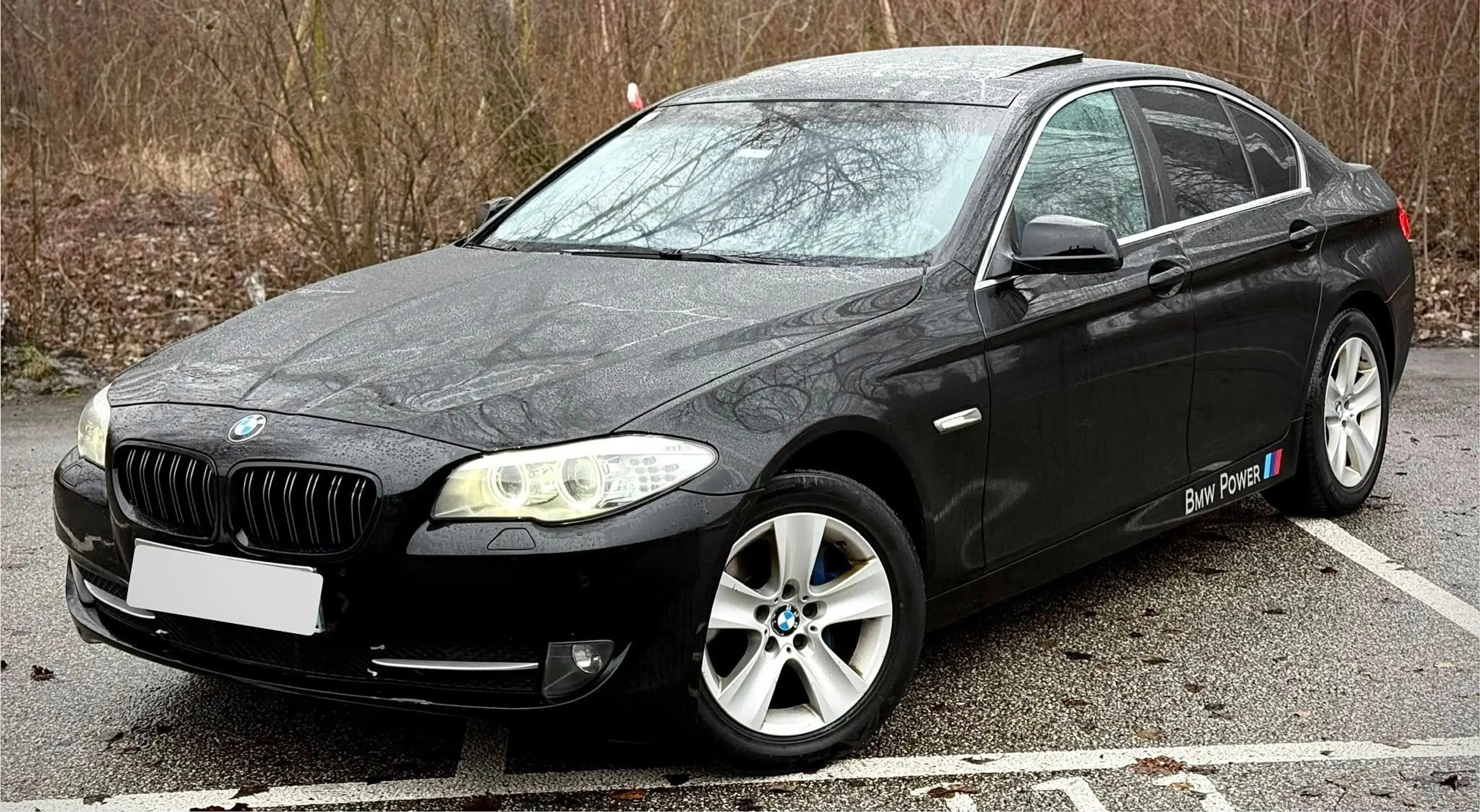 BMW 525 525 d F10 Limousine 6 Zylinder 3 L N57 — photo 5