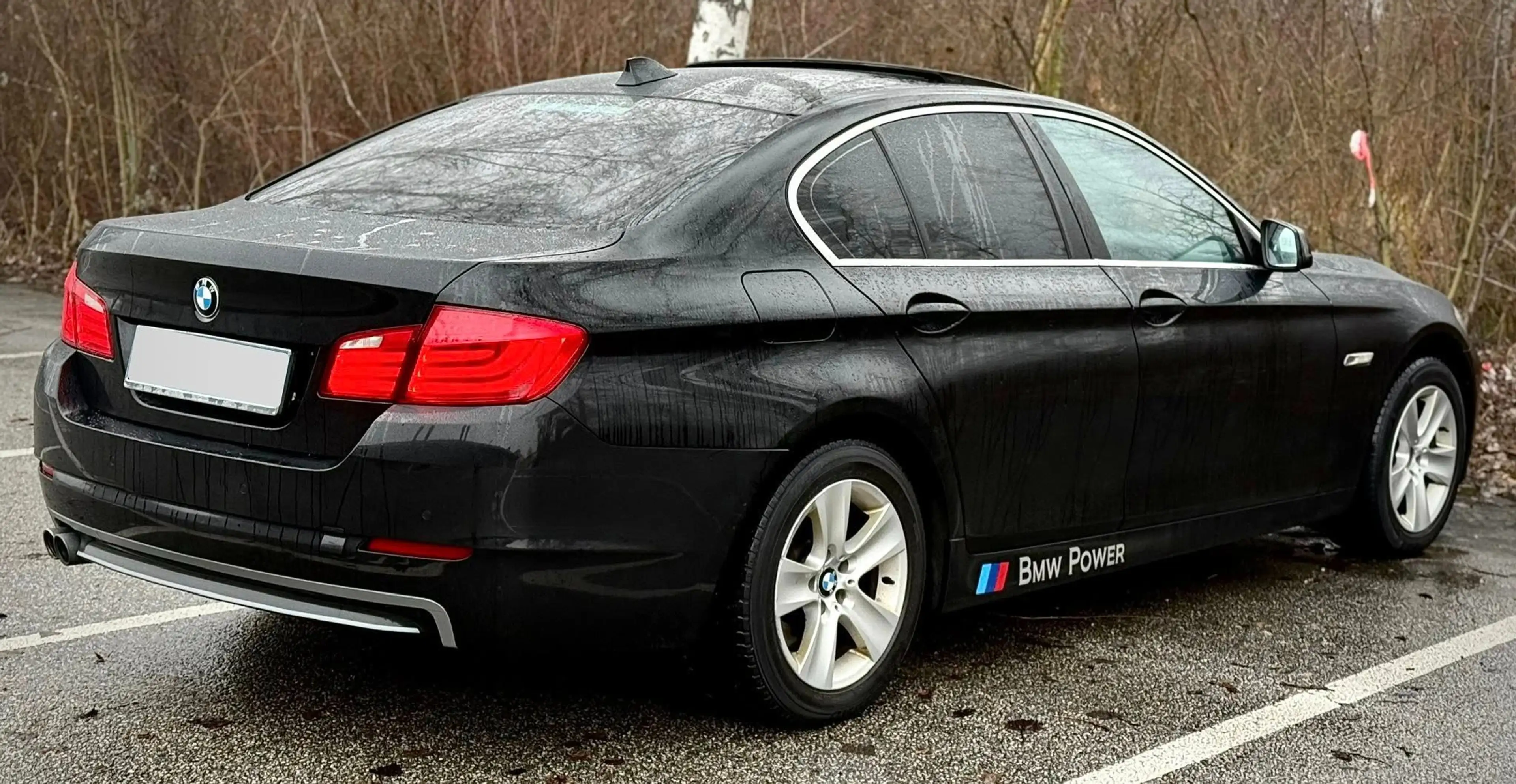 BMW 525 525 d F10 Limousine 6 Zylinder 3 L N57 — photo 7