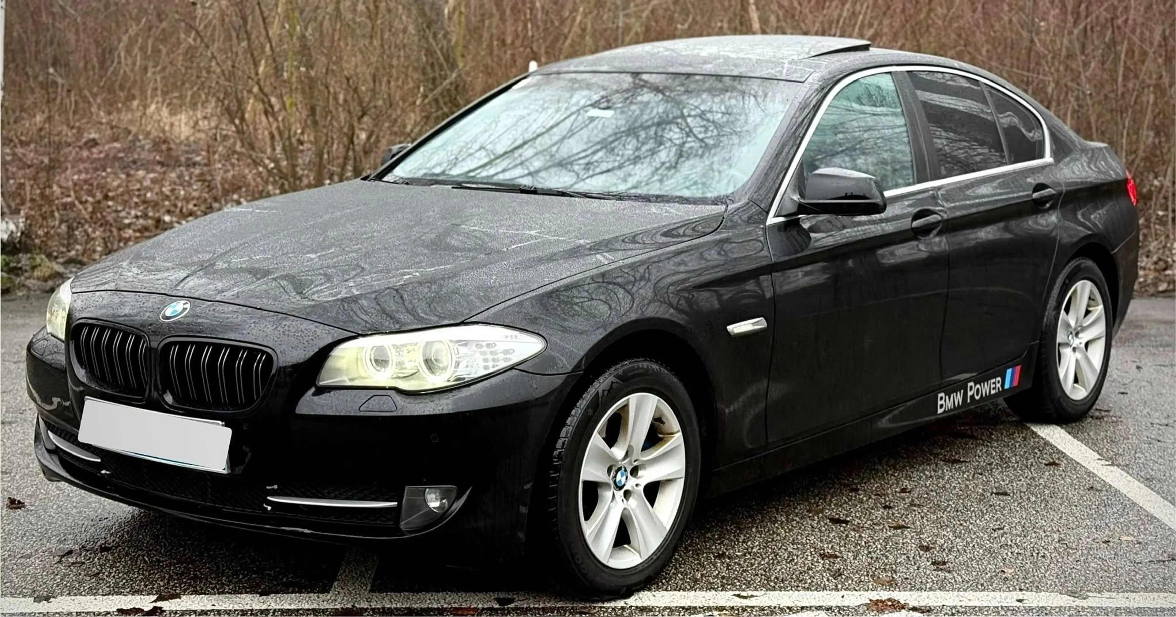 BMW 525 525 d F10 Limousine 6 Zylinder 3 L N57 — photo 4