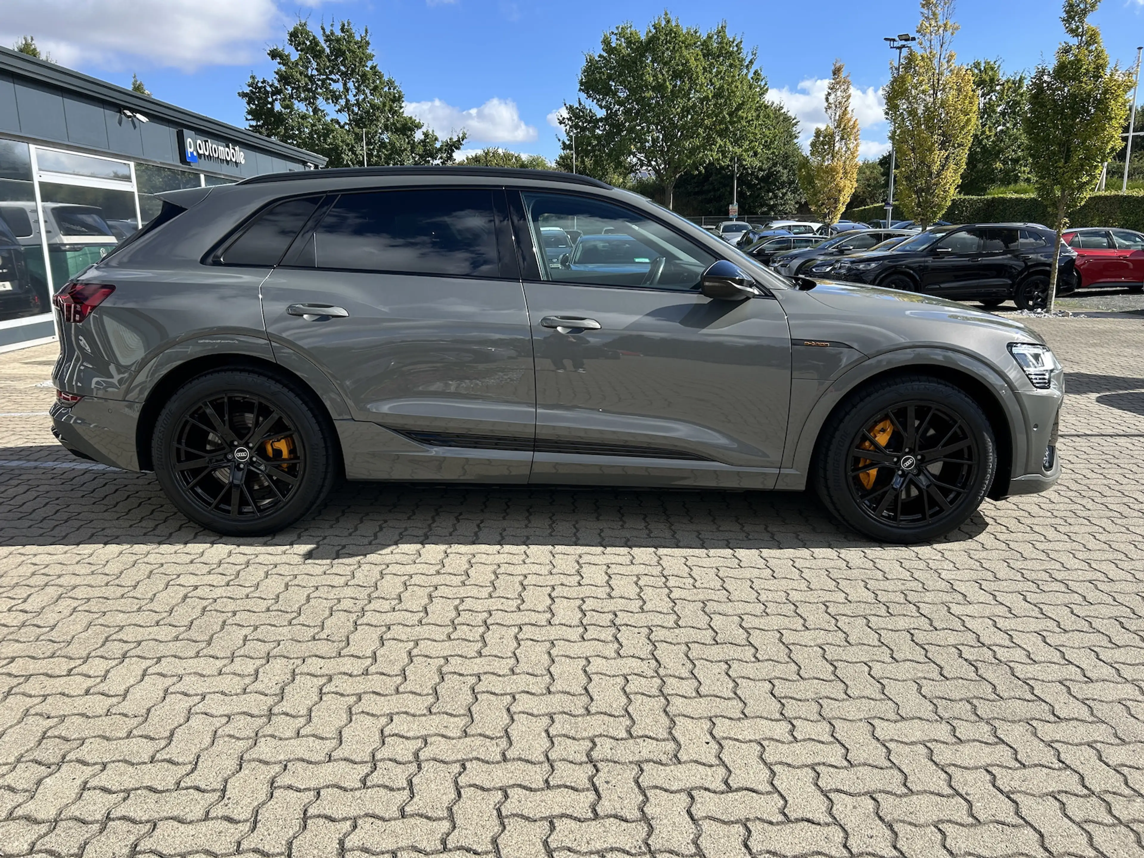 Audi e-tron 55 quattro S line Black edition*CCS*95kWh — photo 15