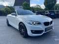 BMW 218 Baureihe 2 Cabrio 218 i Advantage Wit - thumbnail 8