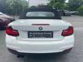 BMW 218 Baureihe 2 Cabrio 218 i Advantage Wit - thumbnail 22