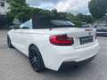 BMW 218 Baureihe 2 Cabrio 218 i Advantage Wit - thumbnail 21