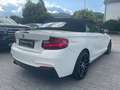 BMW 218 Baureihe 2 Cabrio 218 i Advantage Wit - thumbnail 20