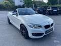 BMW 218 Baureihe 2 Cabrio 218 i Advantage Wit - thumbnail 7