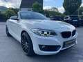 BMW 218 Baureihe 2 Cabrio 218 i Advantage Wit - thumbnail 1
