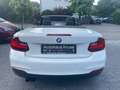 BMW 218 Baureihe 2 Cabrio 218 i Advantage Wit - thumbnail 16