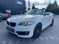 BMW 218 Baureihe 2 Cabrio 218 i Advantage Wit - thumbnail 6