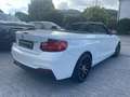 BMW 218 Baureihe 2 Cabrio 218 i Advantage Wit - thumbnail 14