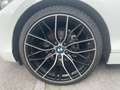 BMW 218 Baureihe 2 Cabrio 218 i Advantage Wit - thumbnail 19