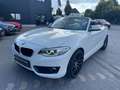 BMW 218 Baureihe 2 Cabrio 218 i Advantage Wit - thumbnail 5