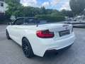 BMW 218 Baureihe 2 Cabrio 218 i Advantage Wit - thumbnail 15