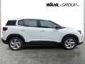 Citroen C5 Aircross C5 Aircross PureTech 130 S&S YOU YOU Weiß - thumbnail 5