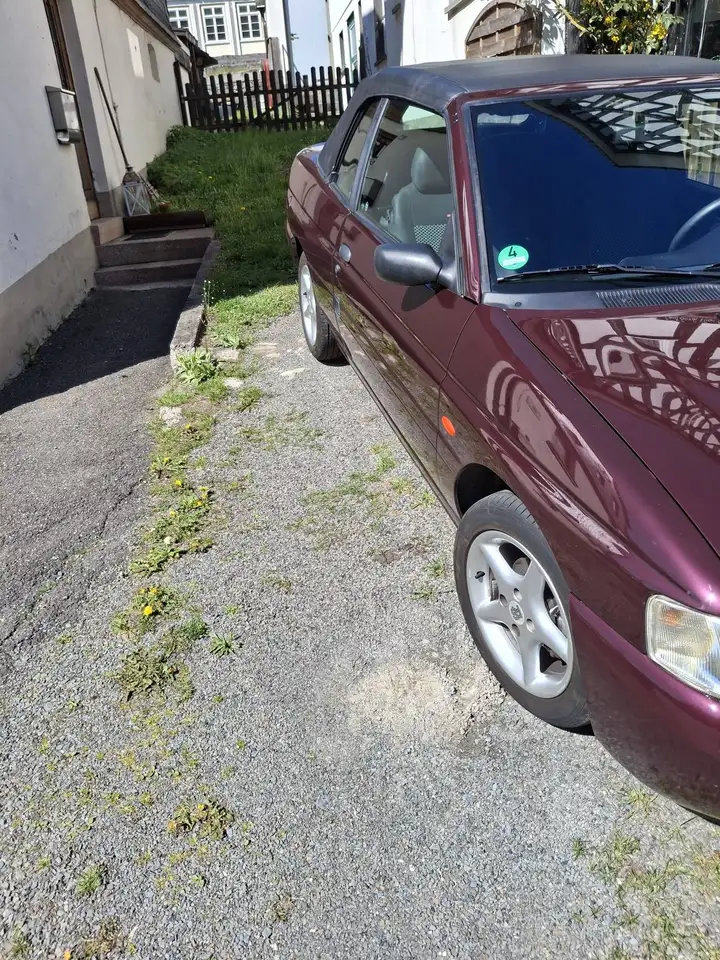 Ford Escort Pacific 1.4, foto 2