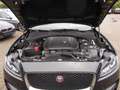 Jaguar F-Pace Prestige 4WD Leder Navi Xenon Allwetter Schwarz - thumbnail 10