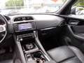 Jaguar F-Pace Prestige 4WD Leder Navi Xenon Allwetter Schwarz - thumbnail 17