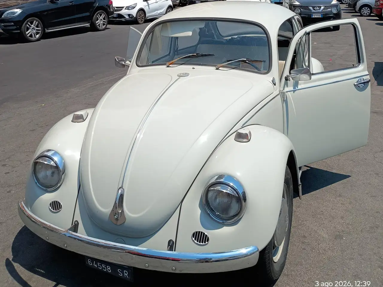 Volkswagen Maggiolino standard, foto 6