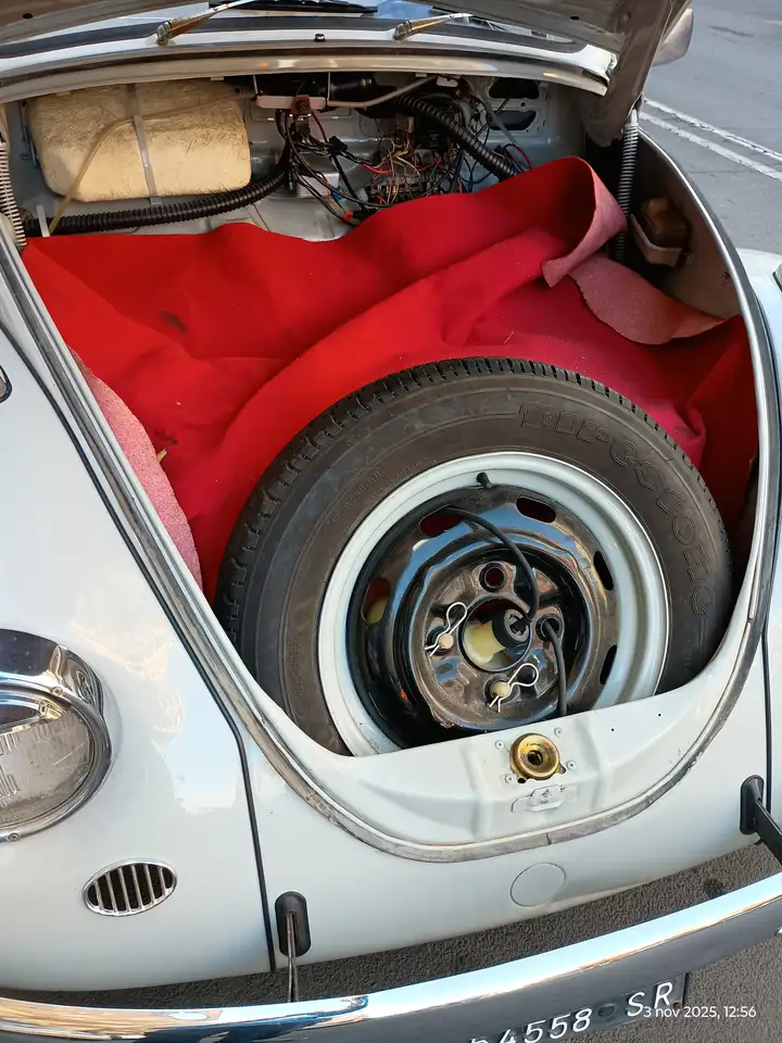 Volkswagen Maggiolino standard, foto 4
