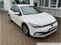 Volkswagen Golf VIII 1.5 eTSI DSG Life Navi LED DigCockpit Weiß - thumbnail 2