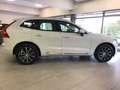 Volvo XC60 (2017-) B4 (d) AWD Geartronic Inscription Weiß - thumbnail 5