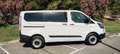 Ford Transit Custom FT 320 L1 Kombi Ambiente EcoBlue 10 Blanco - thumbnail 14
