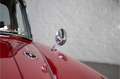 MG 1600 A Coupe FULLY RESTORED SCHIJFREMMEN - CHROMEN Rosso - thumbnail 13