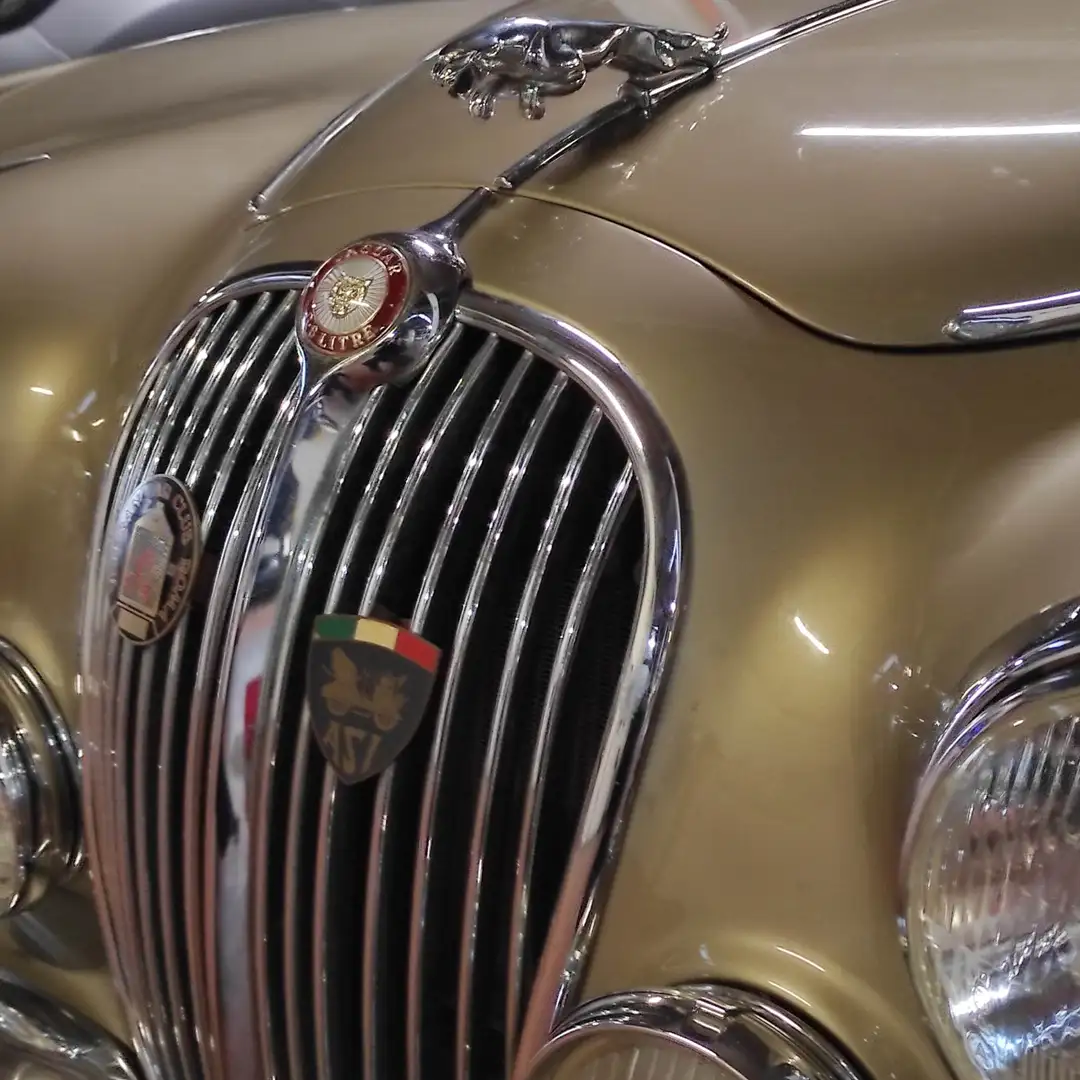 Jaguar MK II pelle rossa e radica - 1