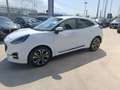 Ford Puma Puma II 2020 1.0 ecoboost h ST-Line - SEDE NOLA Blanco - thumbnail 6