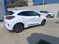 Ford Puma Puma II 2020 1.0 ecoboost h ST-Line - SEDE NOLA Blanco - thumbnail 3