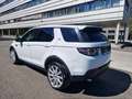 Land Rover Discovery Sport Discovery Sport 2,0 SD4 4WD AHK-LEDER-Pickerl neu! Weiß - thumbnail 5