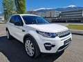 Land Rover Discovery Sport Discovery Sport 2,0 SD4 4WD AHK-LEDER-Pickerl neu! Weiß - thumbnail 7