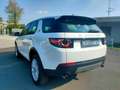 Land Rover Discovery Sport 2.0 td4 HSE awd EURO 6B-CATENA NUOVA-NEOPATENTATI Blanc - thumbnail 7