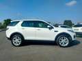 Land Rover Discovery Sport 2.0 td4 HSE awd EURO 6B-CATENA NUOVA-NEOPATENTATI Blanc - thumbnail 3