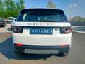 Land Rover Discovery Sport 2.0 td4 HSE awd EURO 6B-CATENA NUOVA-NEOPATENTATI Blanc - thumbnail 5