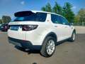 Land Rover Discovery Sport 2.0 td4 HSE awd EURO 6B-CATENA NUOVA-NEOPATENTATI Blanc - thumbnail 6