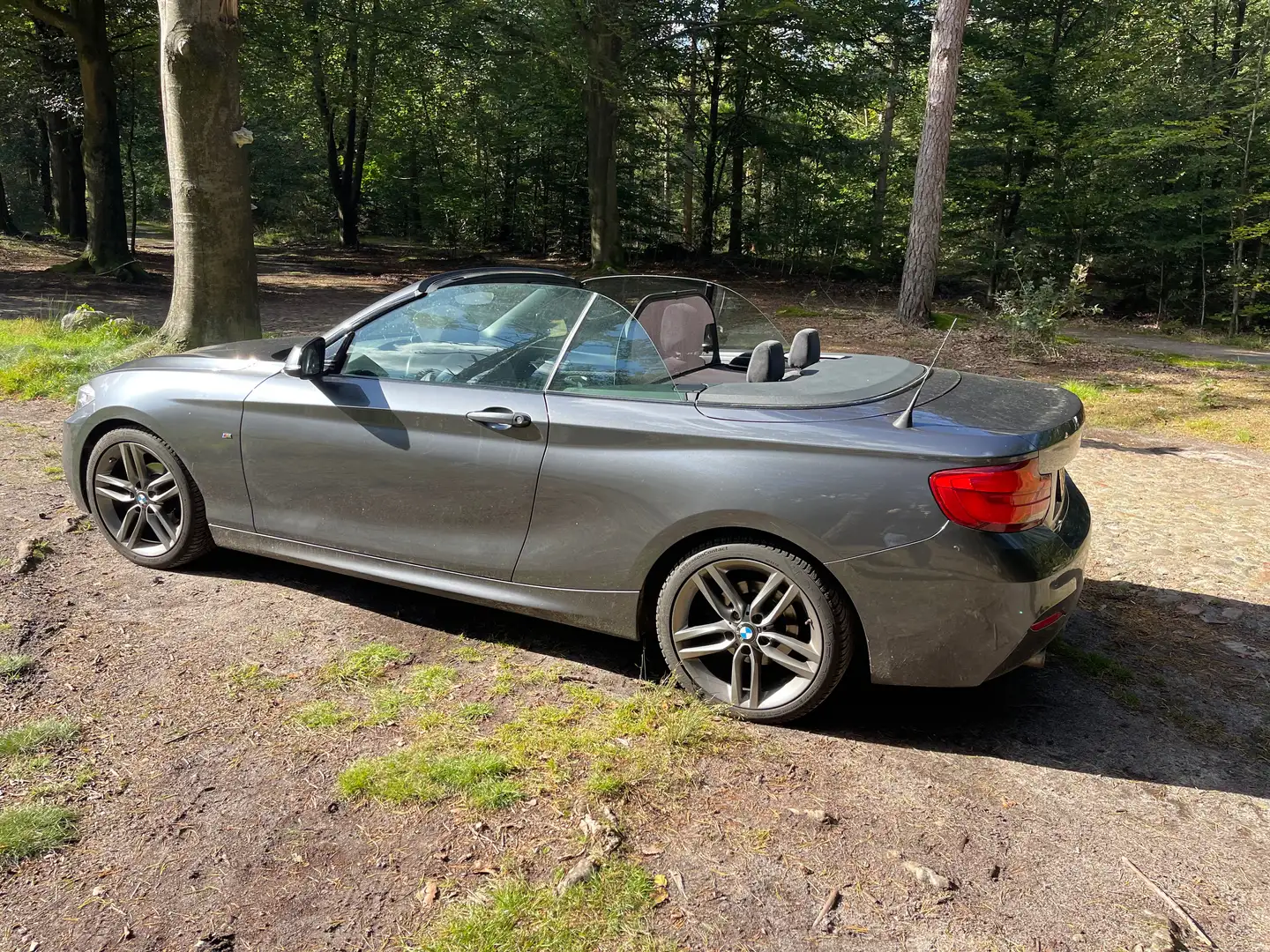 BMW 218 218 Executive Grijs - 2