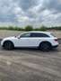Audi A4 allroad 3.0 Evolution 218cv s-tronic V6 Turbo Blanco - thumbnail 9