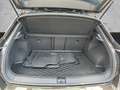 Volkswagen T-Roc Sport 1.5 TSI 110 kW 6-Gang Sportpaket AHK-abnehmb Brun - thumbnail 15