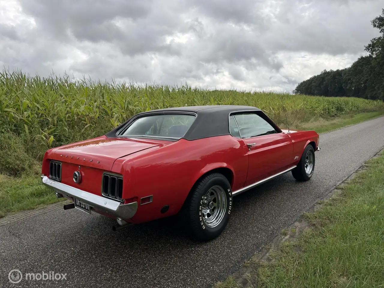 Ford Mustang USA 4.9 V8 Grande, foto 4