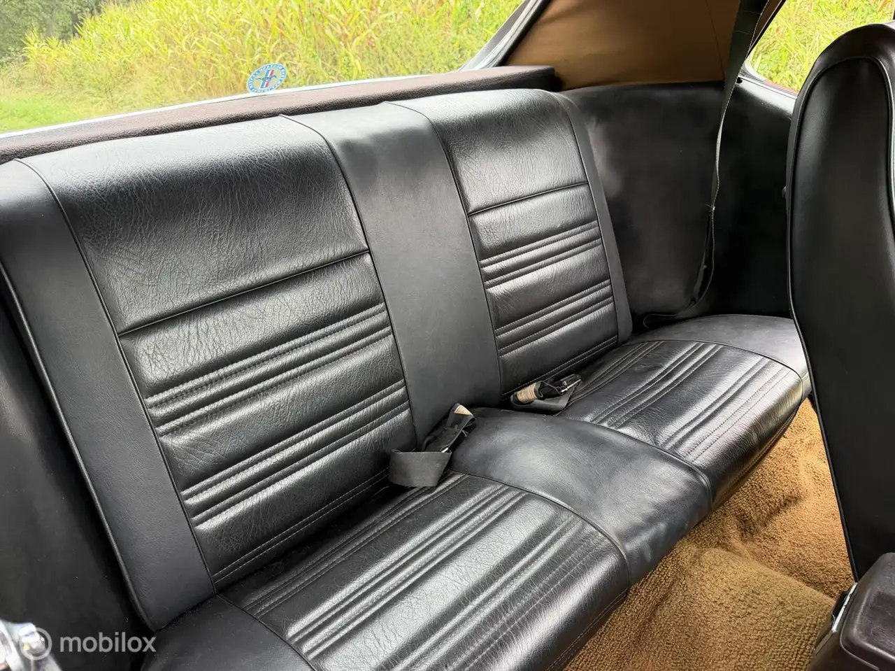 Ford Mustang USA 4.9 V8 Grande, foto 12